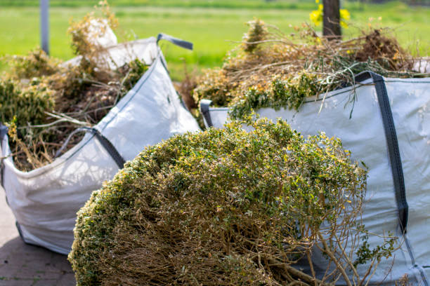 Best Residential Junk Removal  in Lyman, WY